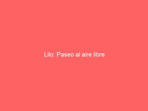 Lilo: Paseo al aire libre