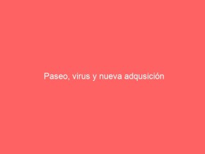 Paseo, virus y nueva adquisición