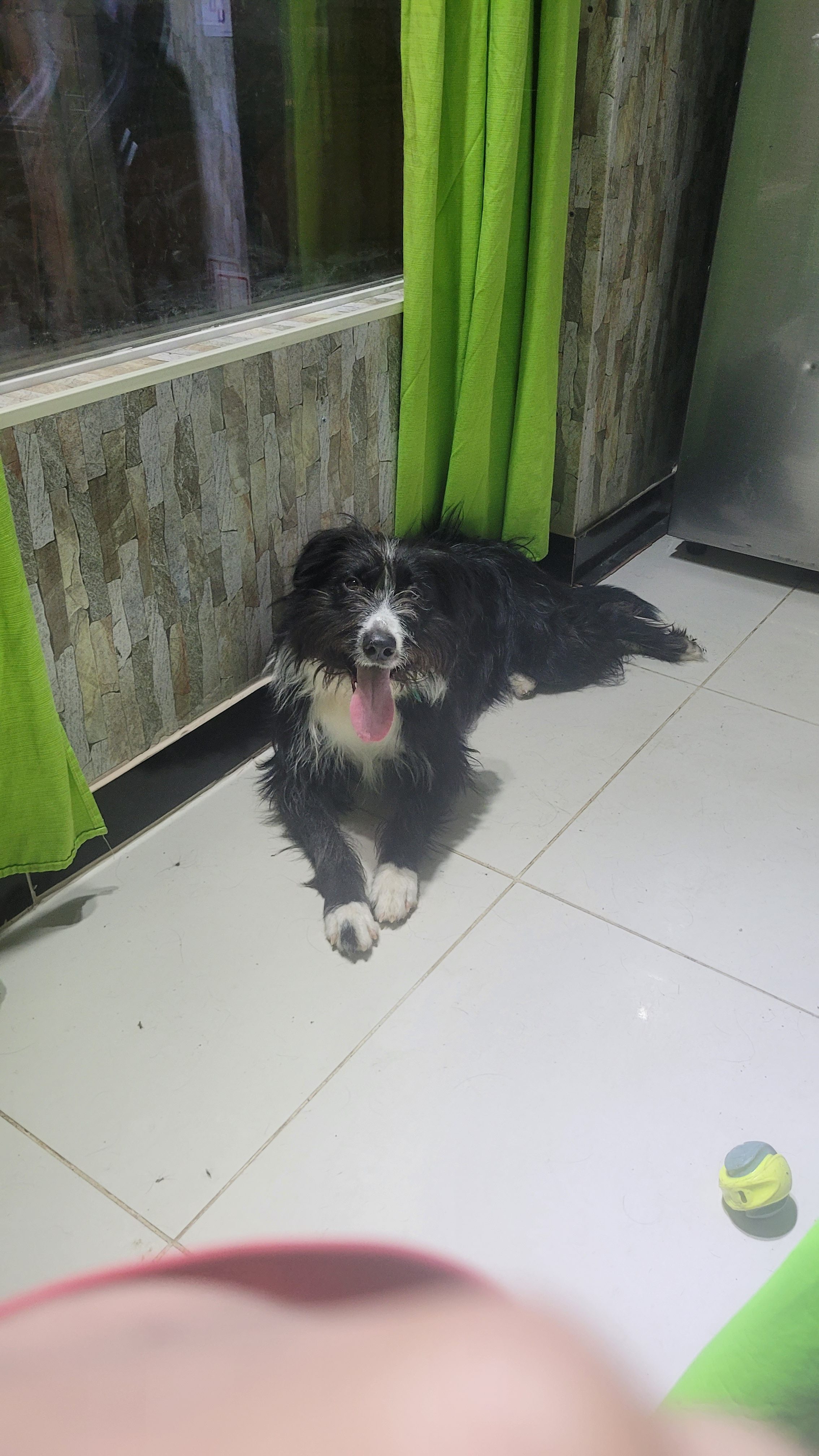 Blanca Rosa de Top-Conquerors jugó a la pelota con Fernando Sanchez